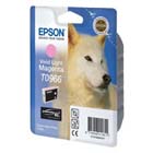 �������� Epson T09664010 ���������� ������-���������